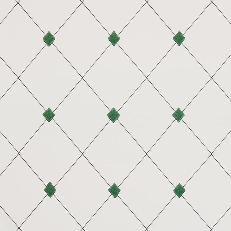 Diamond Trellis Barneby Gates