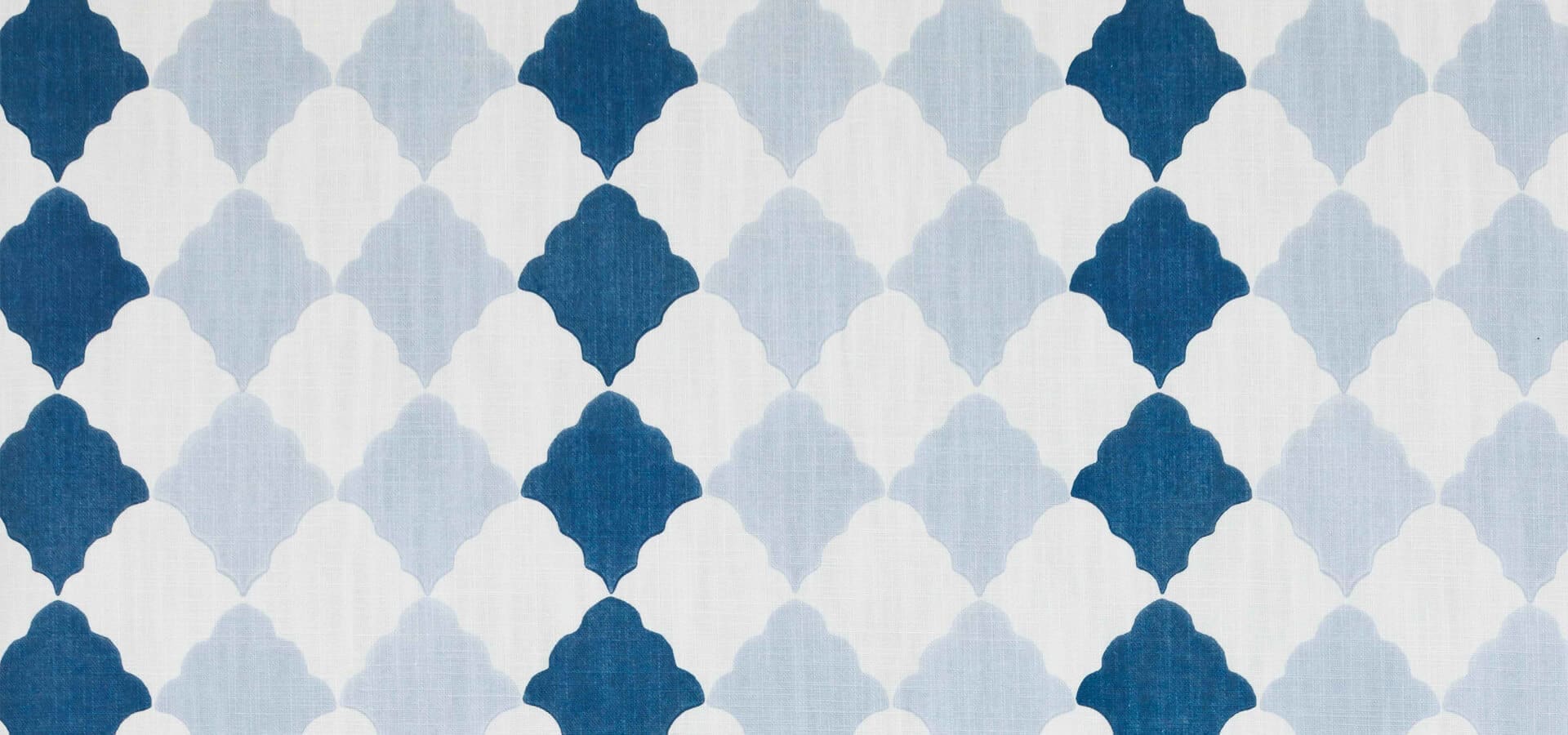 9. Harlequin blue slidder