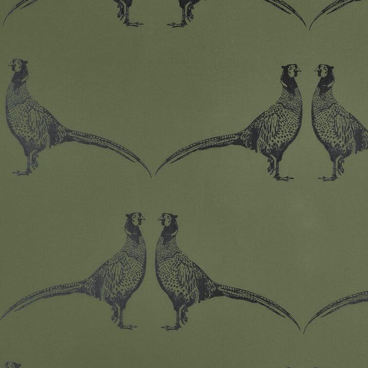 Pheasant Wallpapers  Top Free Pheasant Backgrounds  WallpaperAccess