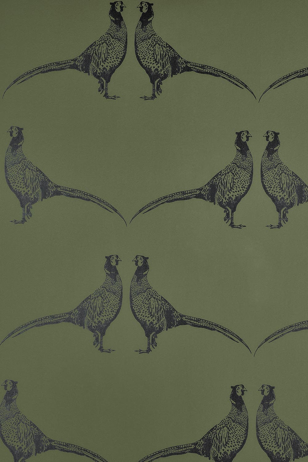 Pheasant Wallpaper - Barneby Gates